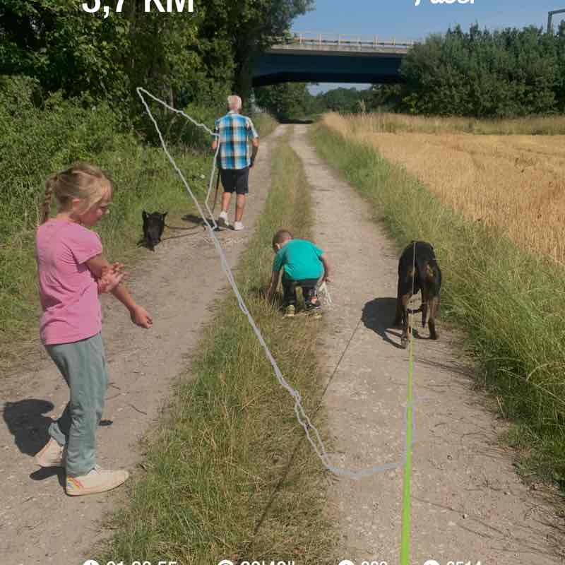 jacky-oestreich post 1