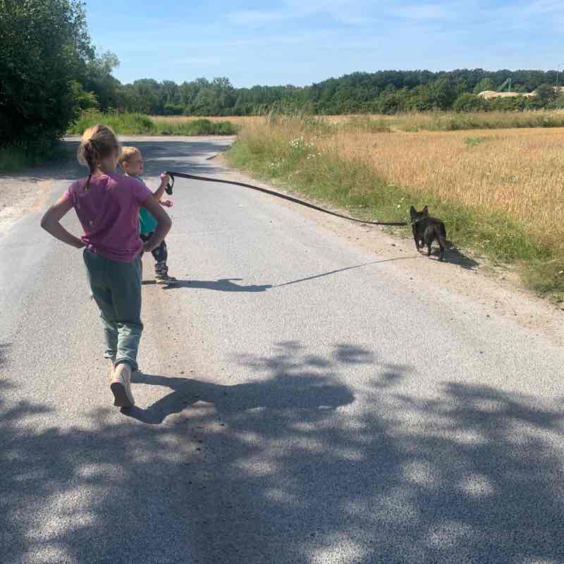 jacky-oestreich post 2