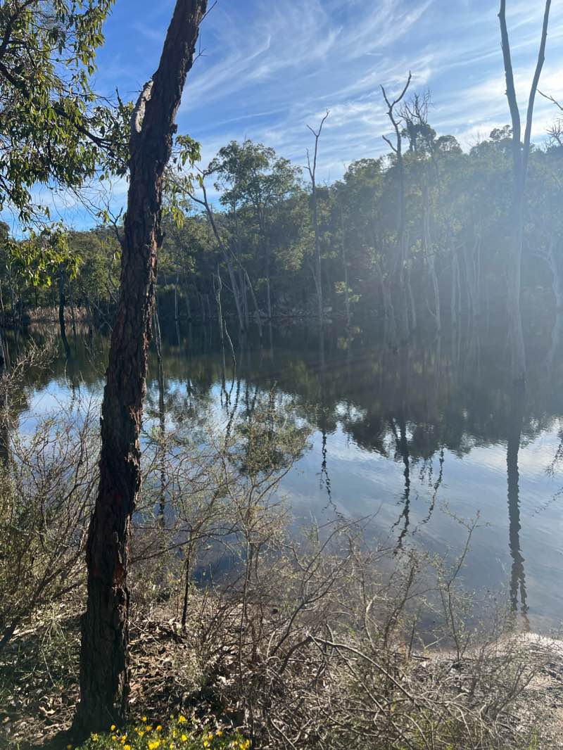 walking near me in Paruna Private Nature Reserve in summer