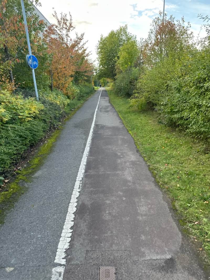 walking near me in Bierlow Park in winter