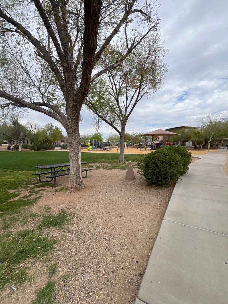 walking near me in City Complex Park in spring