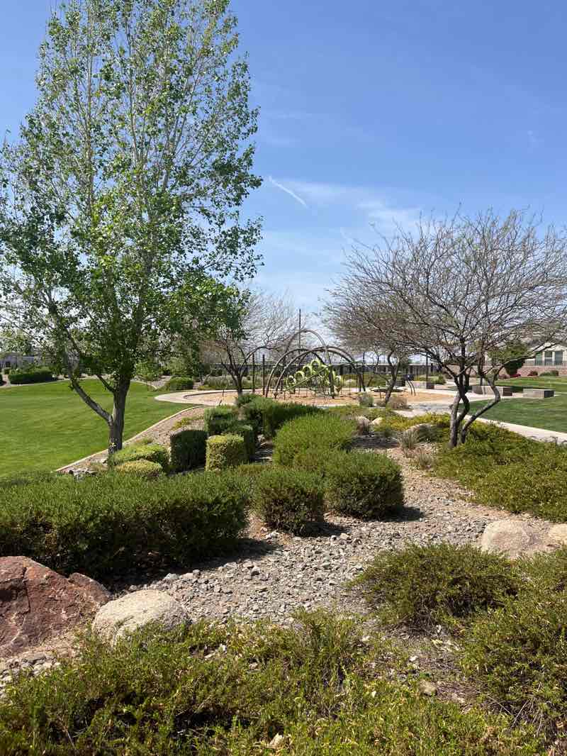 walking near me in Solstice Park in spring