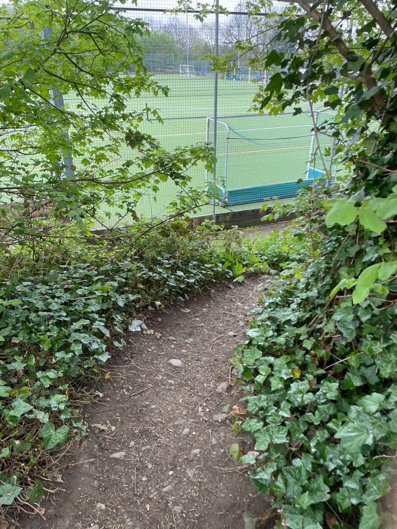 walking near me in Kirkbie Kendal School Football Field in spring