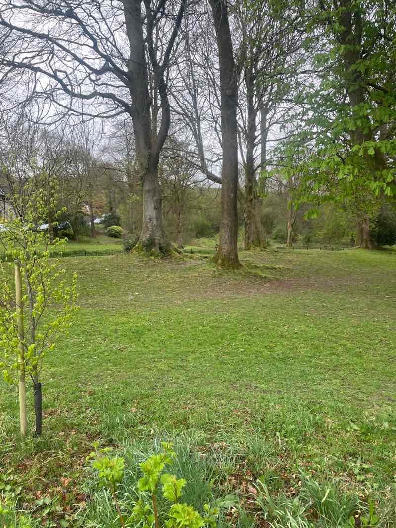 walking near me in Fletcher Park in spring