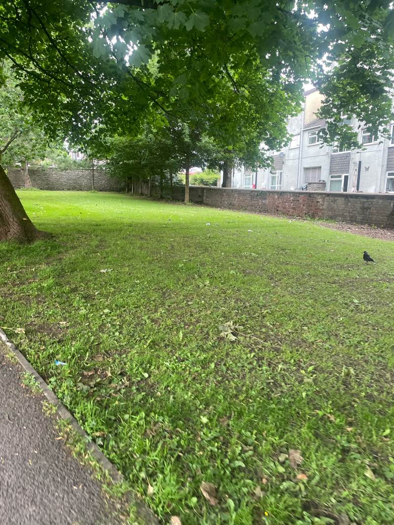 walking near me in Miller Field in summer