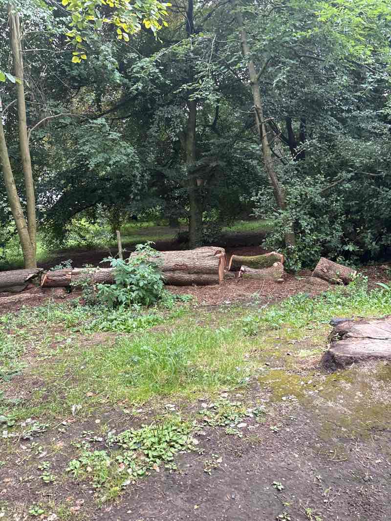 walking near me in Goose Holme in autumn