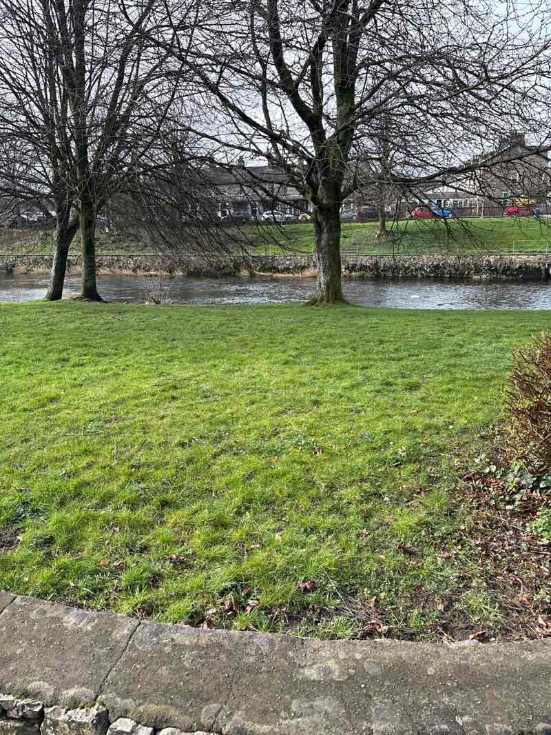 walking near me in Ford Park in spring