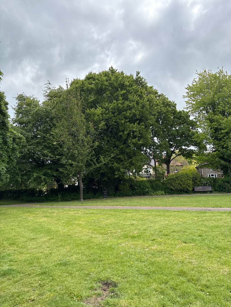 walking near me in Hall Park in spring