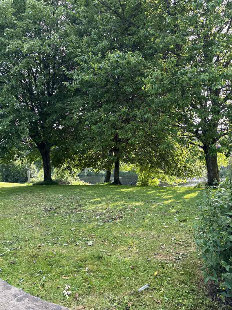 walking near me in Ford Park in summer