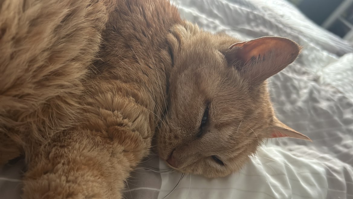 Trebor💋☀️😎🏁🏃🏼‍♂️