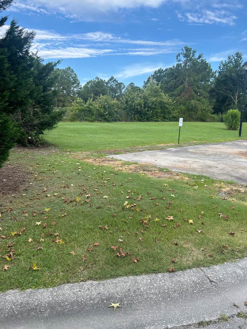 walking near me in Whitney Place Park in summer