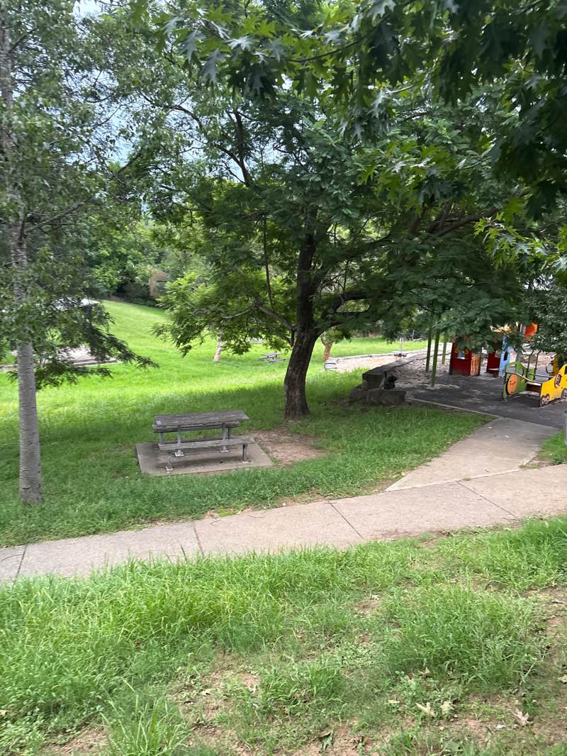 walking near me in Kurrajong Memorial Park in autumn