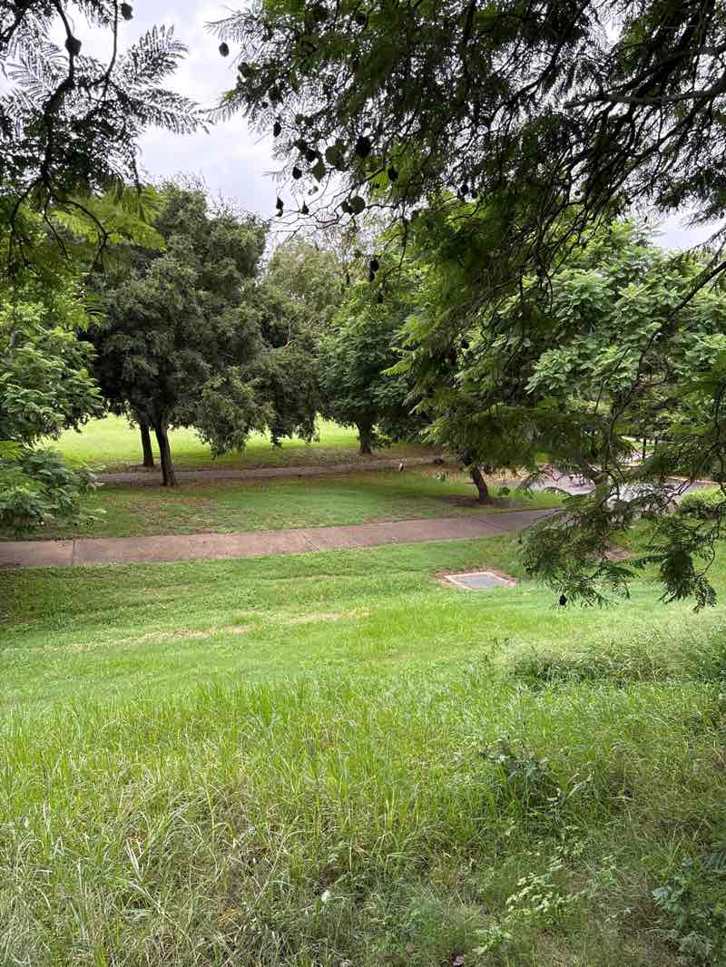 walking near me in Hanna Park in autumn