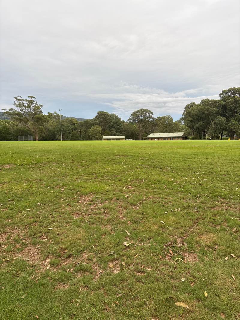 walking near me in McMahon Park in autumn