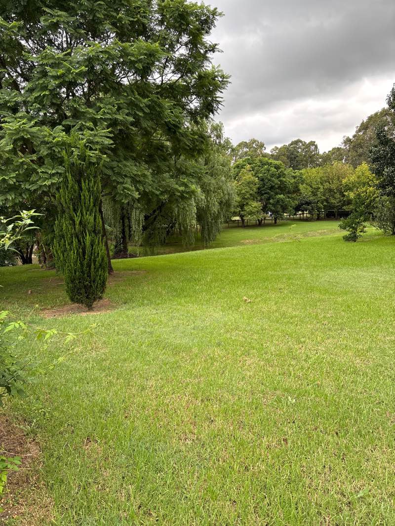 walking near me in Hawkesbury Park in autumn