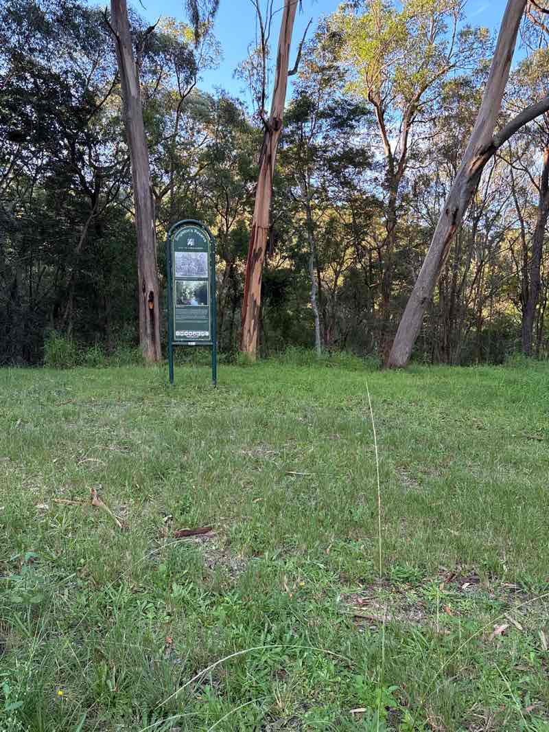 walking near me in Singletons Reserve in autumn