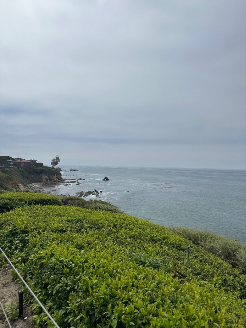 walking near me in Crystal Cove State Marine Conservation Area in winter