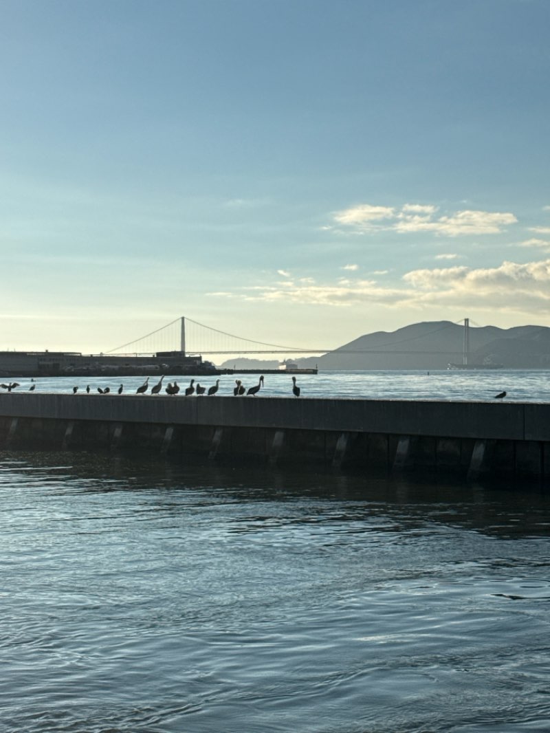 walking near me in Aquatic Park Historic District in autumn