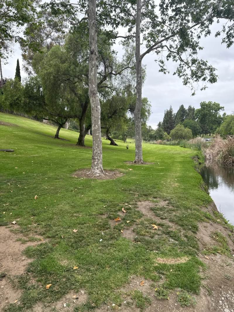walking near me in Craig Regional Park in spring