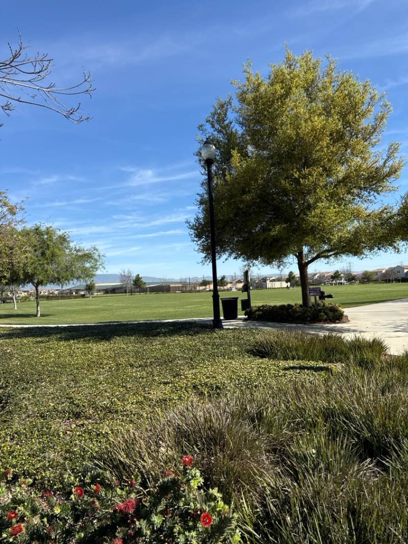 walking near me in Celebration Park North in spring