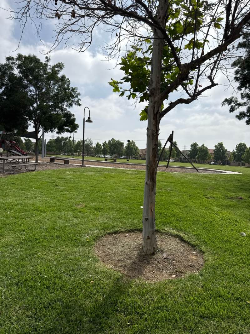 walking near me in Brookfield Recreation Center in summer