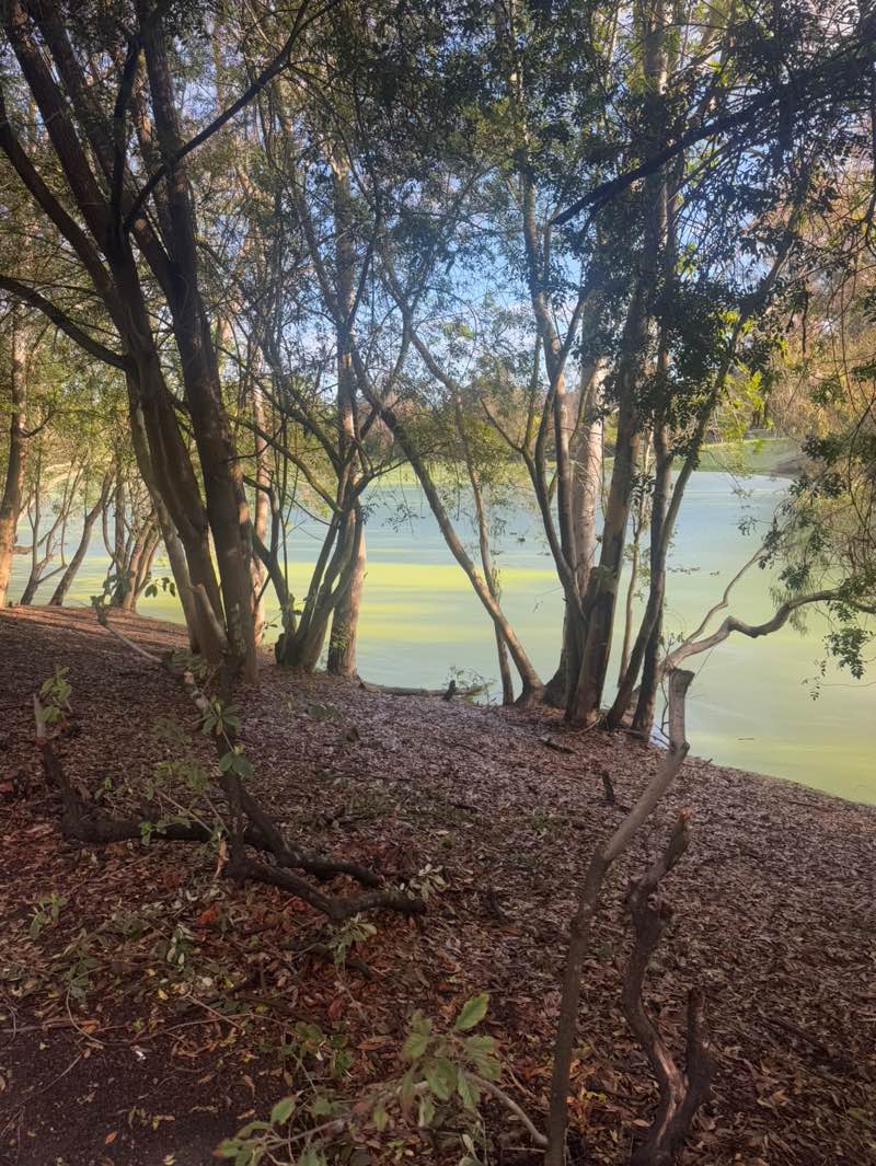 walking near me in Huntington Central Park in autumn