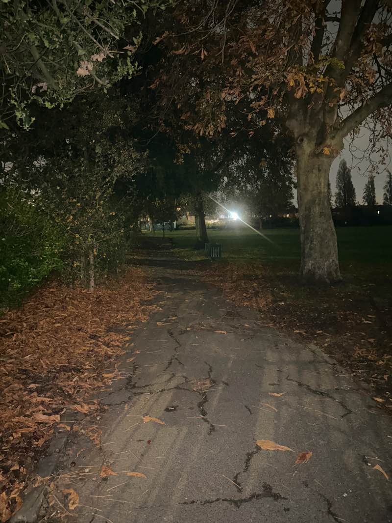 walking near me in Goodmayes Park in autumn