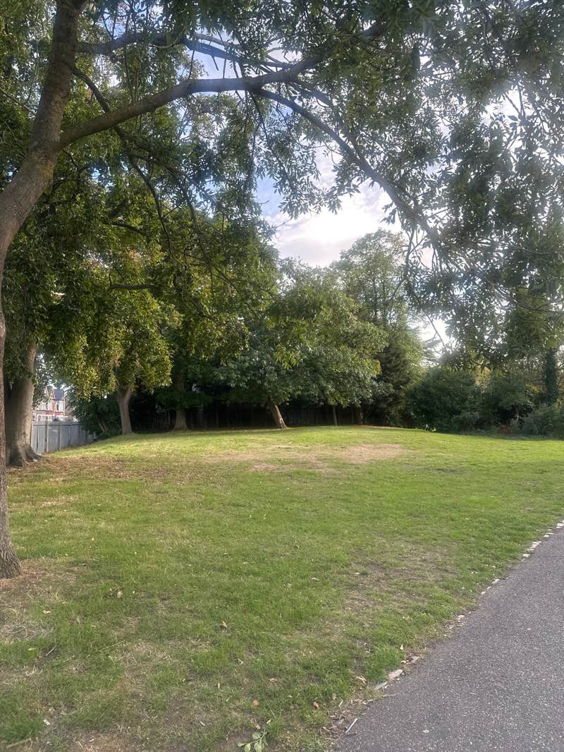 walking near me in South Park in autumn