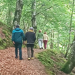 CARLOS 🚶🏃🌎 profile