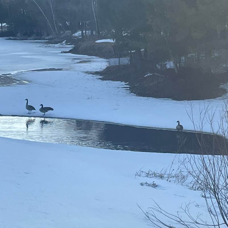 Famille Nault Josée post image