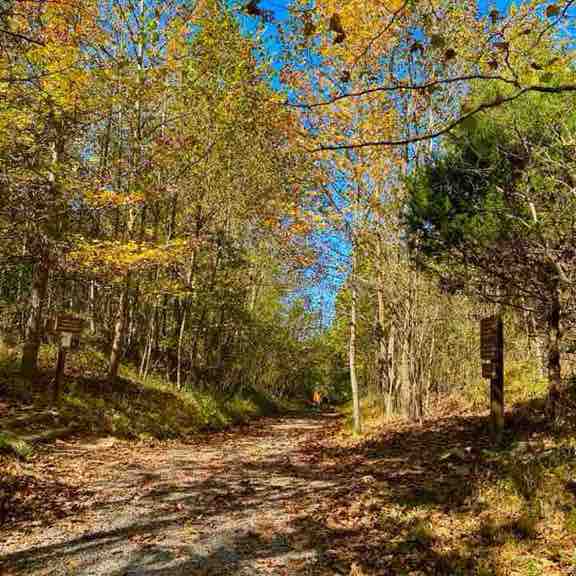 健康一萬步 🇺🇸jw post image