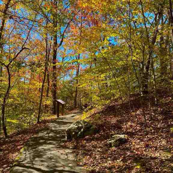 一万歩倶楽部(10K steps club) 🇺🇸jw post image