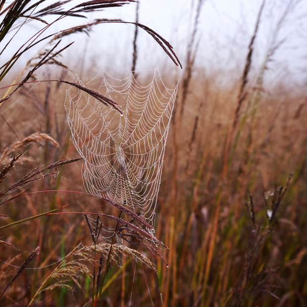 一万歩倶楽部(10K steps club) 🇺🇸jw post image