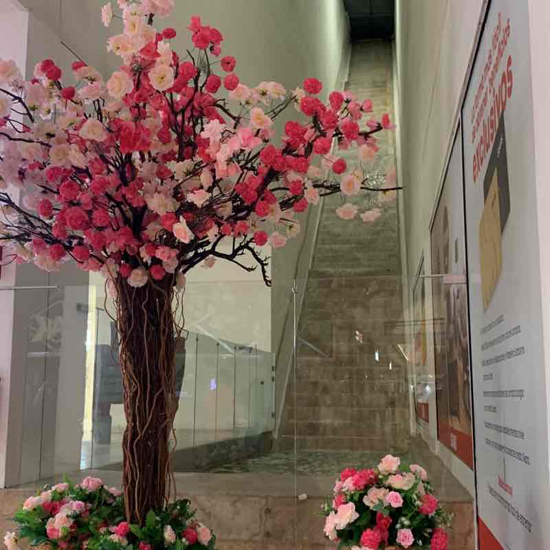 Fausto🐿️👣🇲🇽 post 2