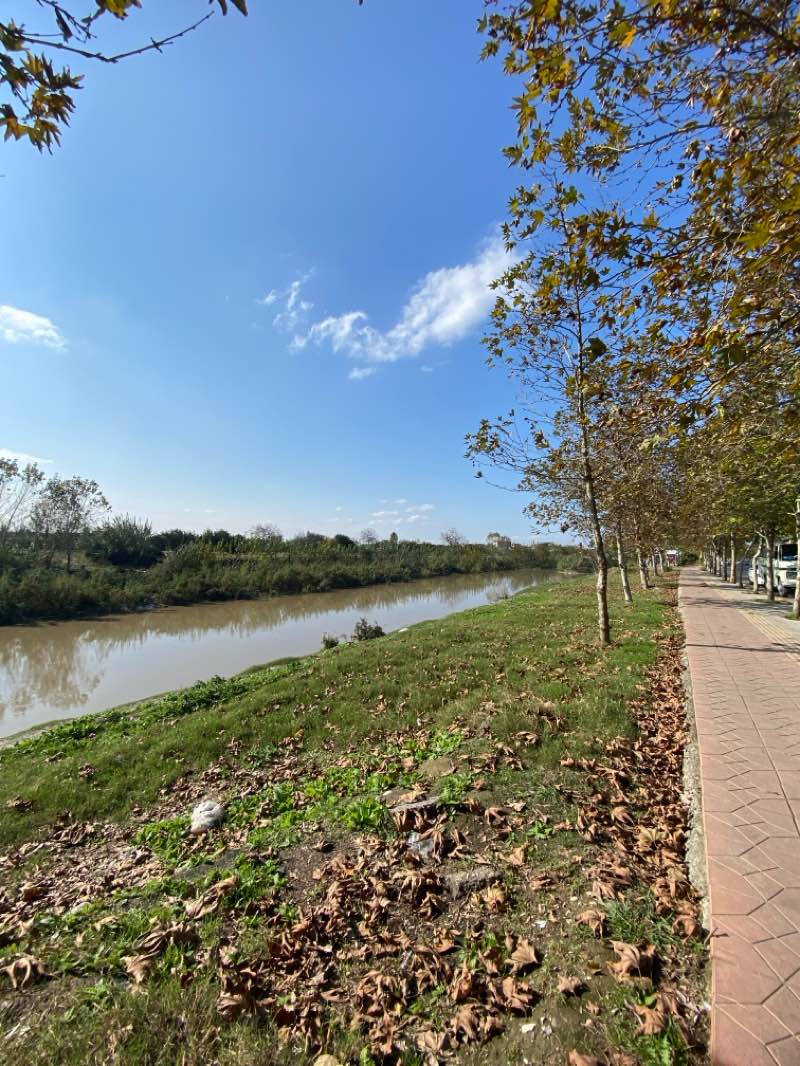 walking near me in پارک شهرداری in winter