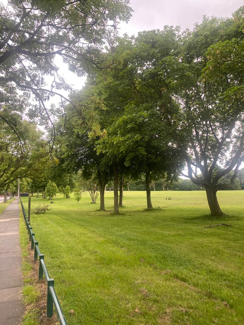 walking near me in Selly Hill Park in summer