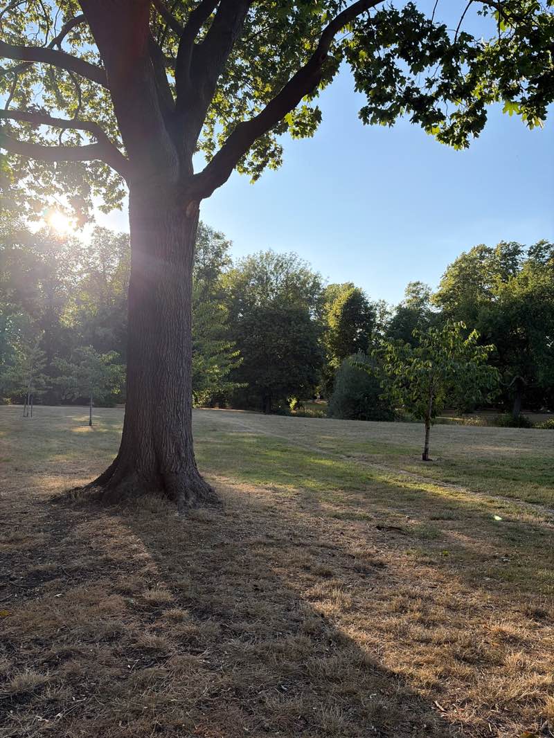 walking near me in Bournville Park in summer