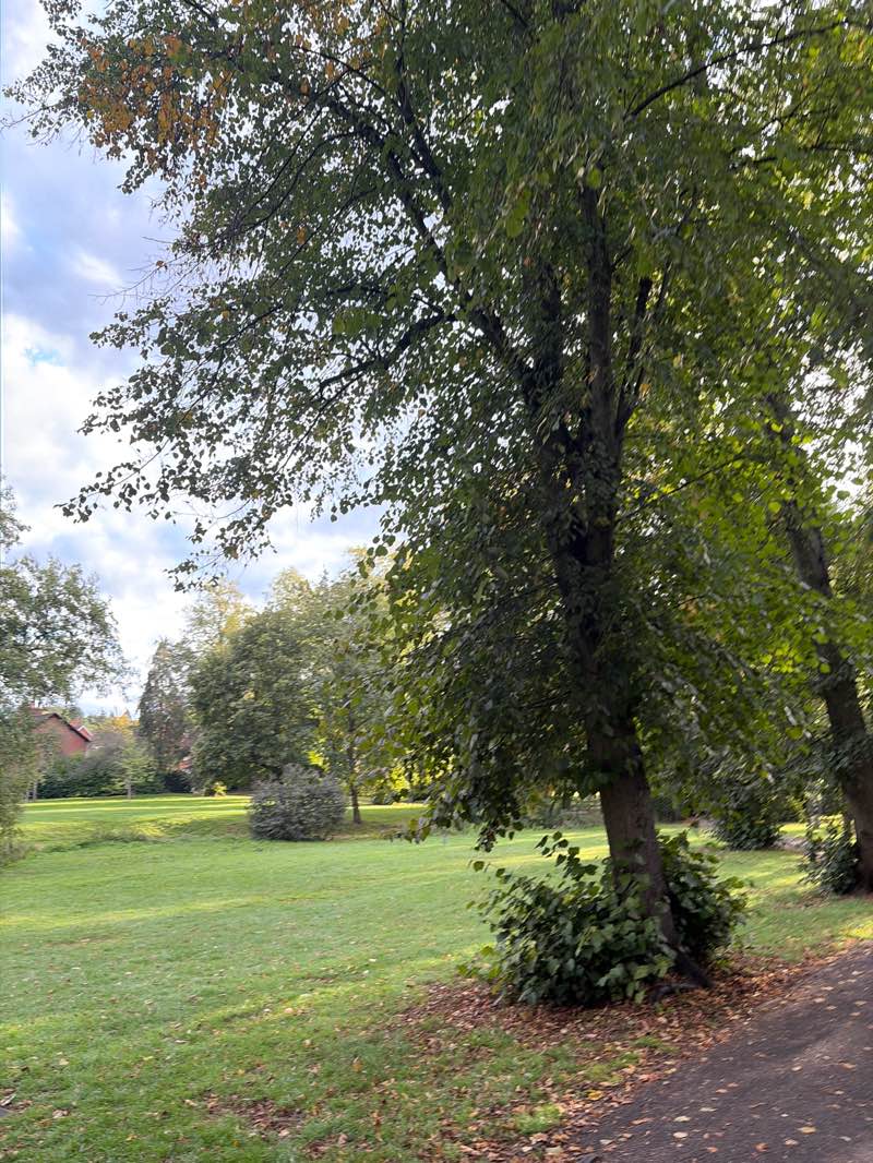 walking near me in Bournville Park in autumn