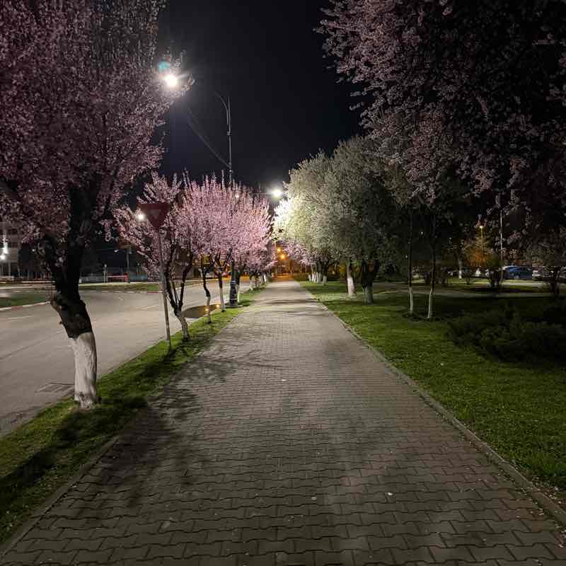 estranged2302 post 2