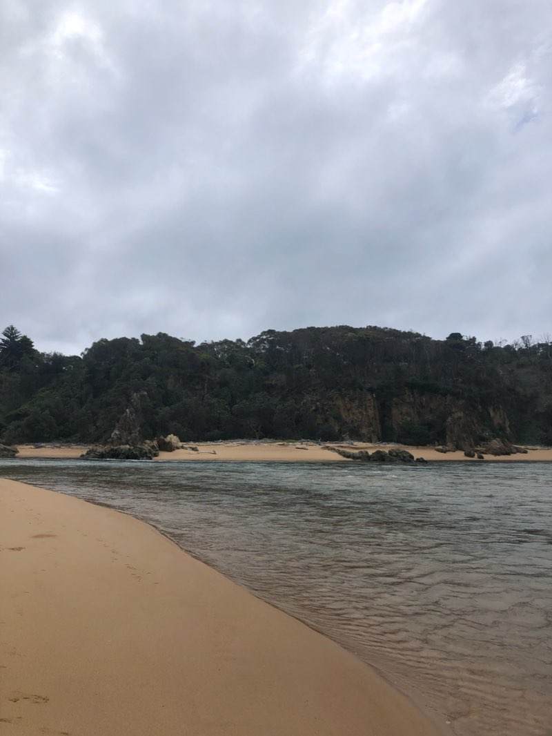 walking near me in Tathra Lions Park in summer