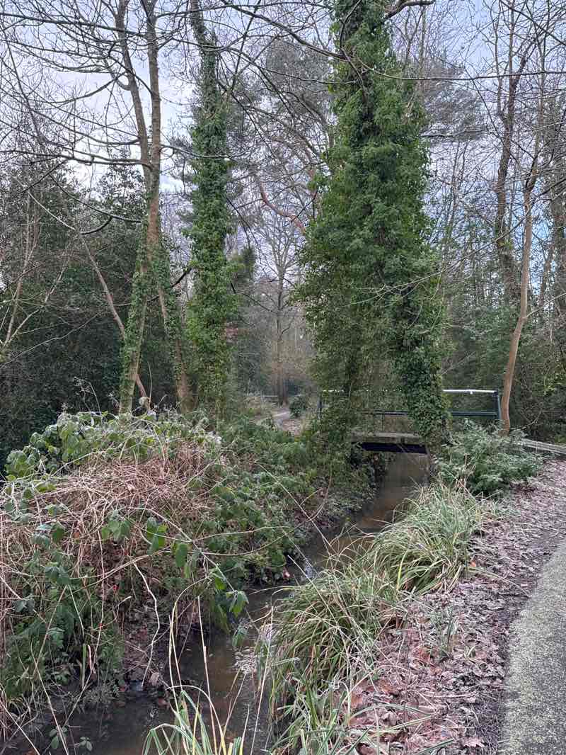 walking near me in Calthorpe Park in winter
