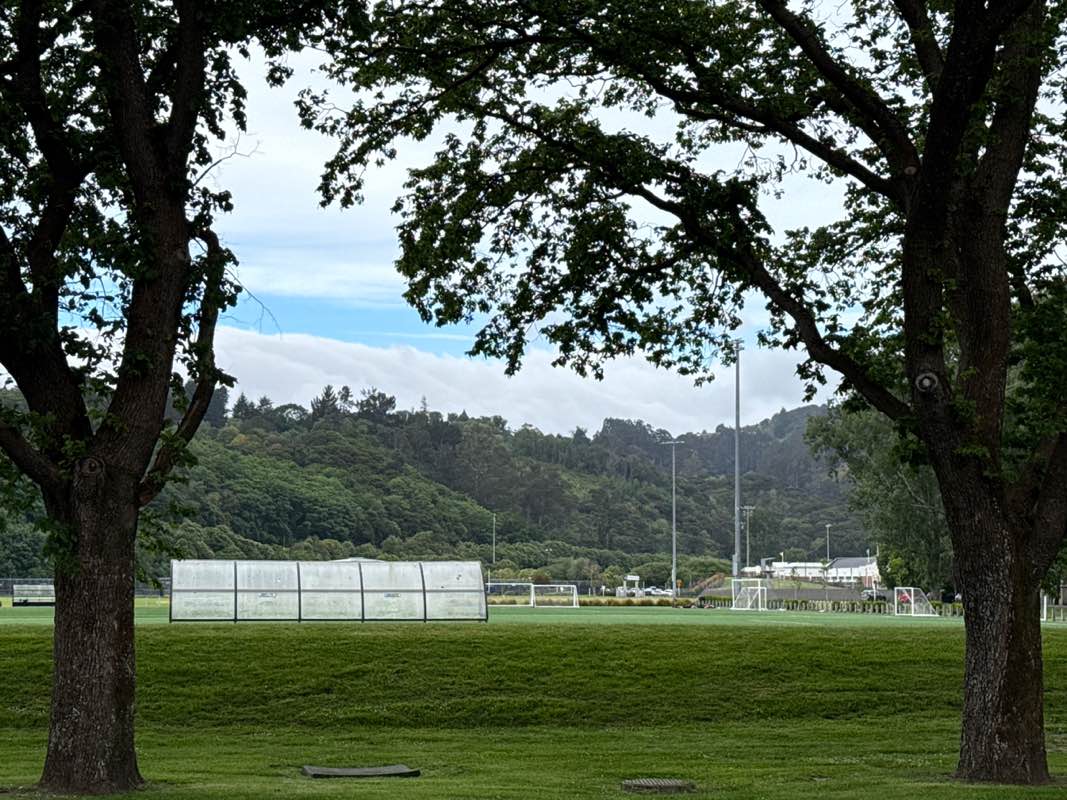 walking near me in Logan Park in spring