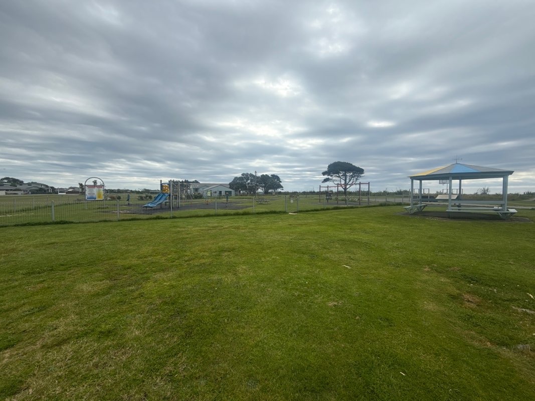 walking near me in Carters Beach Domain in spring
