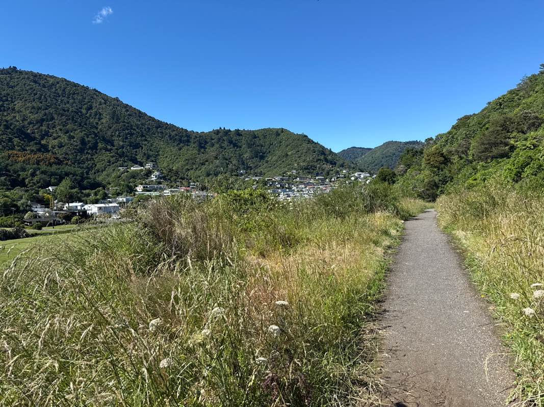 walking near me in Victoria Domain Park in summer