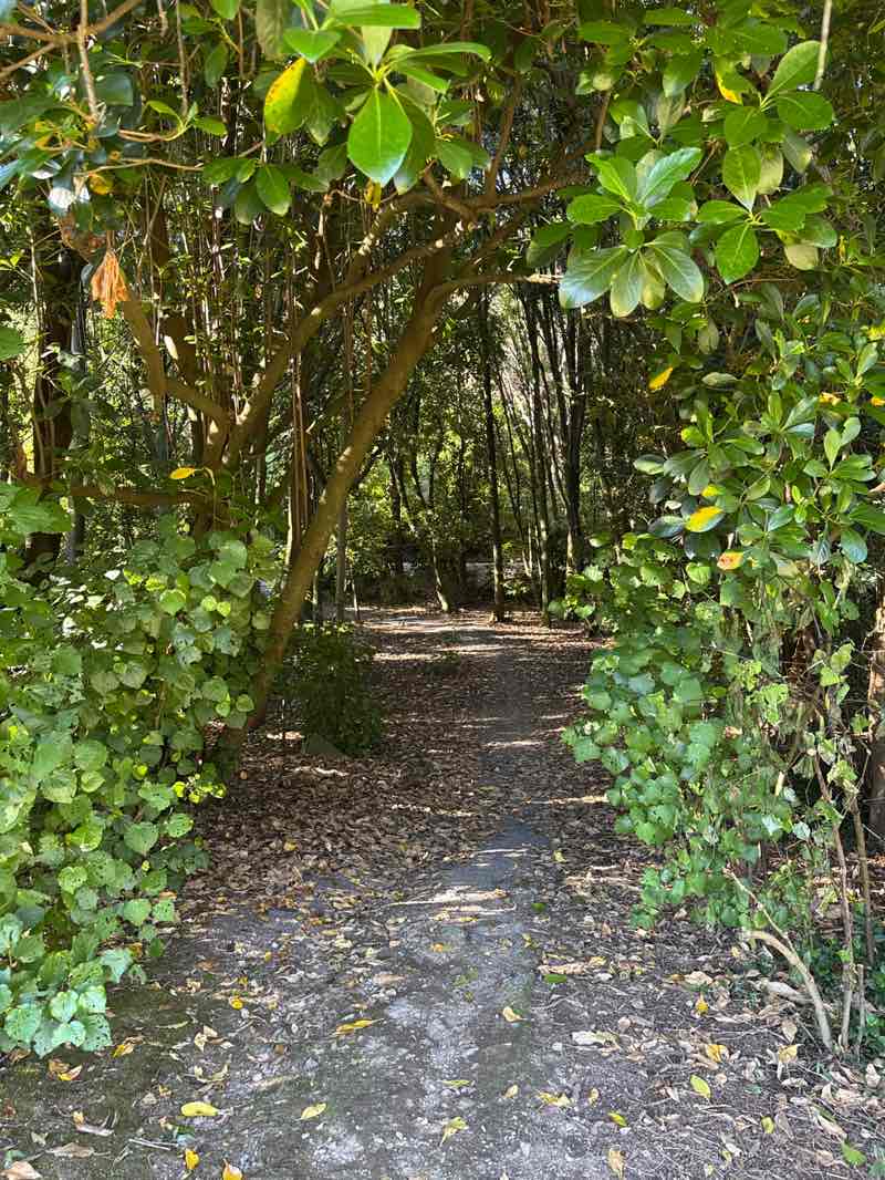 walking near me in Esk Street Reserve in summer