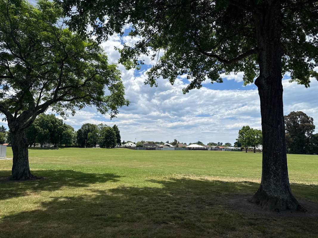 walking near me in Bill Mathewson Park in summer
