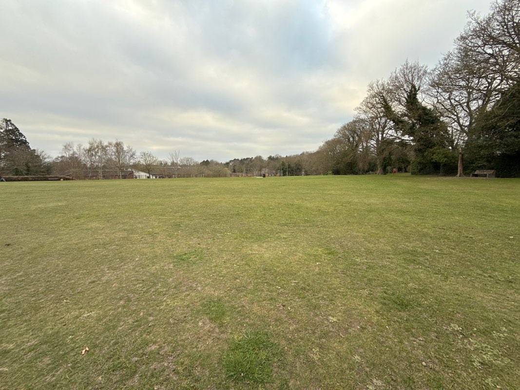 walking near me in The Views Meadow in spring