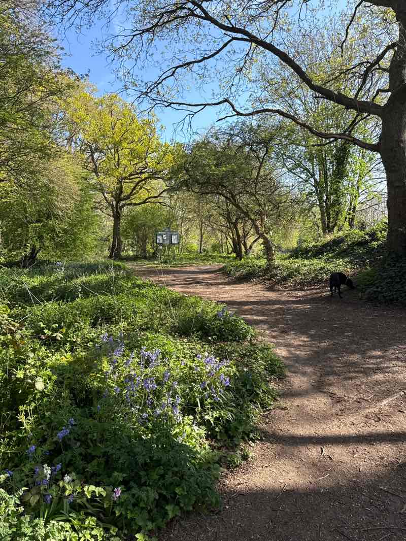 walking near me in Brickfields Park in spring