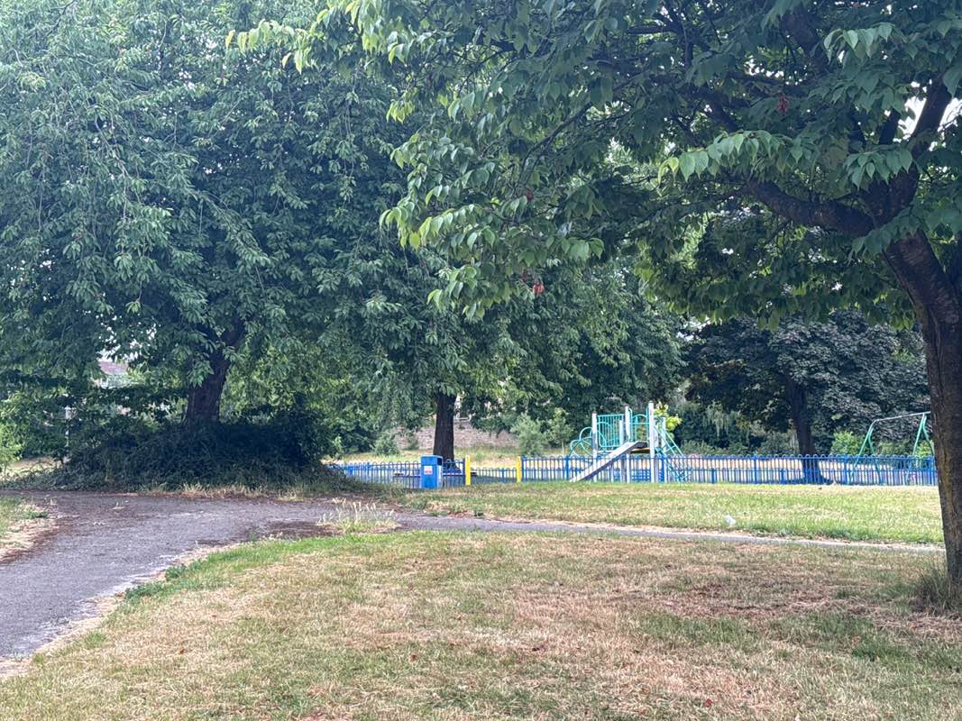 walking near me in Millbridge Park in summer