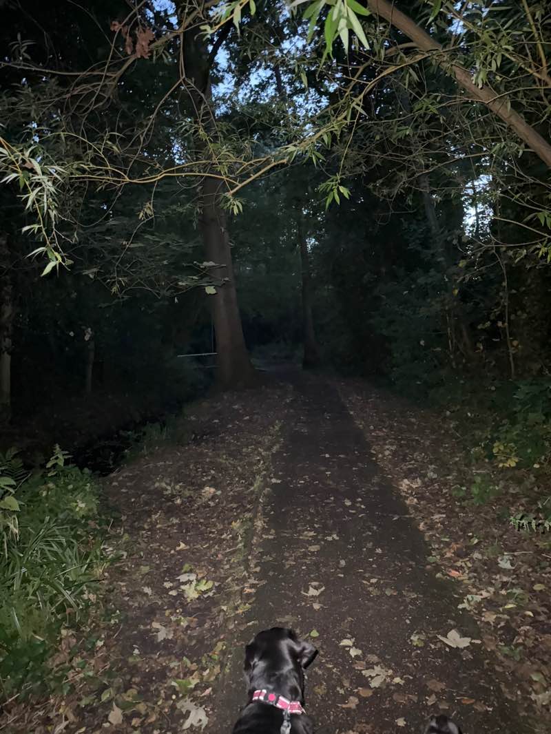 walking near me in Oakley Park in autumn